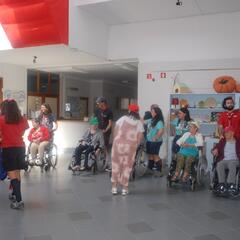 Galeria - Imagem 3 da Escuteiros de Matosinhos fazem servi�o de voluntariado na ALADI