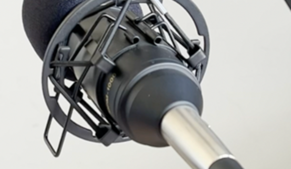Atividades na ALADI: �R�dio Fm Inclusiva�