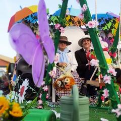 Galeria - Imagem 10 da ALADI leva �flores� at� ao Desfile de Carnaval