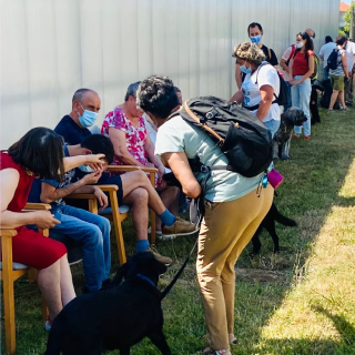Imagem da Formadores de Terapia Assistida com animais visitam ALADI