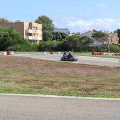 Galeria - Imagem 3 da