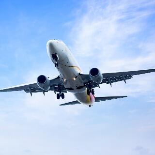 Vai viajar de avi�o? Acompanhantes de pessoas com defici�ncia v�o deixar de pagar bilhete