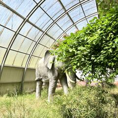 Galeria - Imagem 10 da Visita ao Parque Biol�gico de Gaia