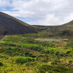 Galeria - Imagem 22 da Utentes descobrem os encantos dos Açores
