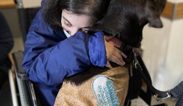 Atividades na ALADI: �Terapia Assistida por Animais�