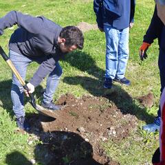 Galeria - Imagem 4 da ALADI acolhe duas esp�cies de �rvores do Vale do Le�a