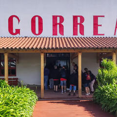 Galeria - Imagem 79 da Utentes descobrem os encantos dos Açores
