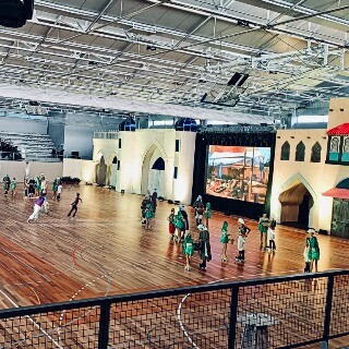 Imagem da Utentes assistem a espet�culo de patinagem art�stica em Matosinhos