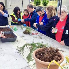 Galeria - Imagem 5 da Utentes fazem voluntariado em diversas �reas