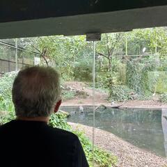 Galeria - Imagem 1 da Visita ao Parque Biol�gico de Gaia