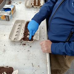 Galeria - Imagem 19 da Utentes fazem voluntariado em diversas �reas